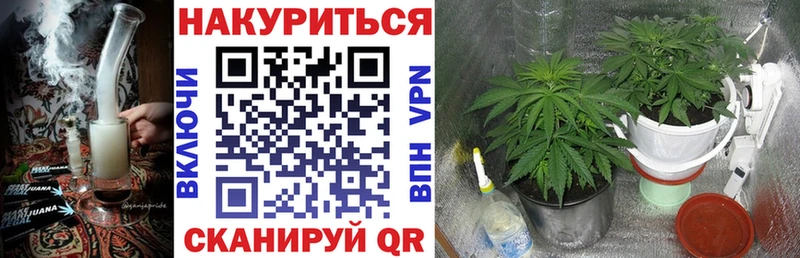 как найти наркотики Шумерля Канабис план